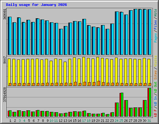 Daily usage for January 2026