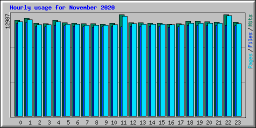 Hourly usage for November 2020