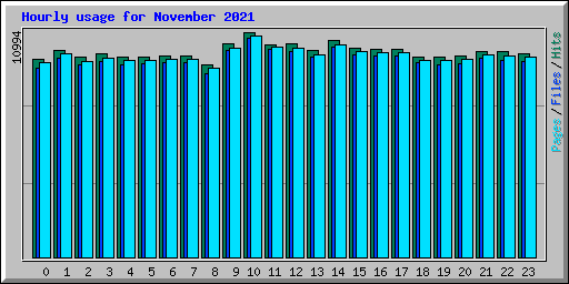 Hourly usage for November 2021
