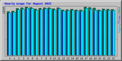 Hourly usage for August 2022