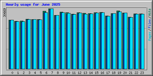 Hourly usage for June 2025