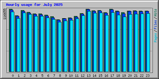 Hourly usage for July 2025