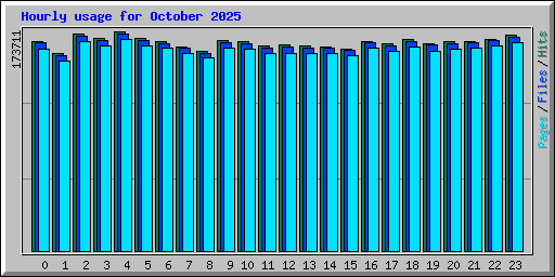 Hourly usage for October 2025