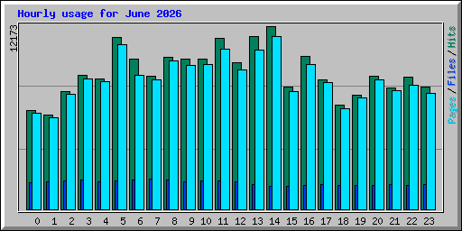 Hourly usage for June 2026